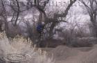 hobo7