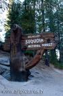 sequoia ke6f6522