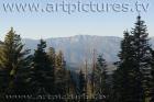 sequoia ke6f6523